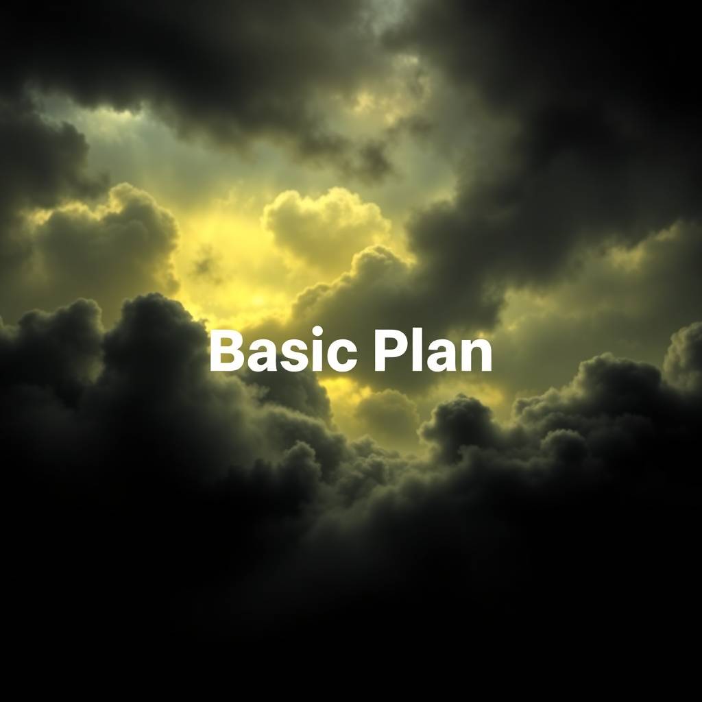 Basic Plan